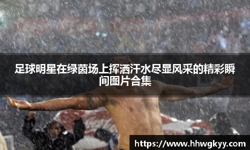 足球明星在绿茵场上挥洒汗水尽显风采的精彩瞬间图片合集
